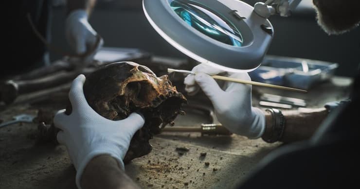 חוקר בודק גולגולת עתיקה במעבדה