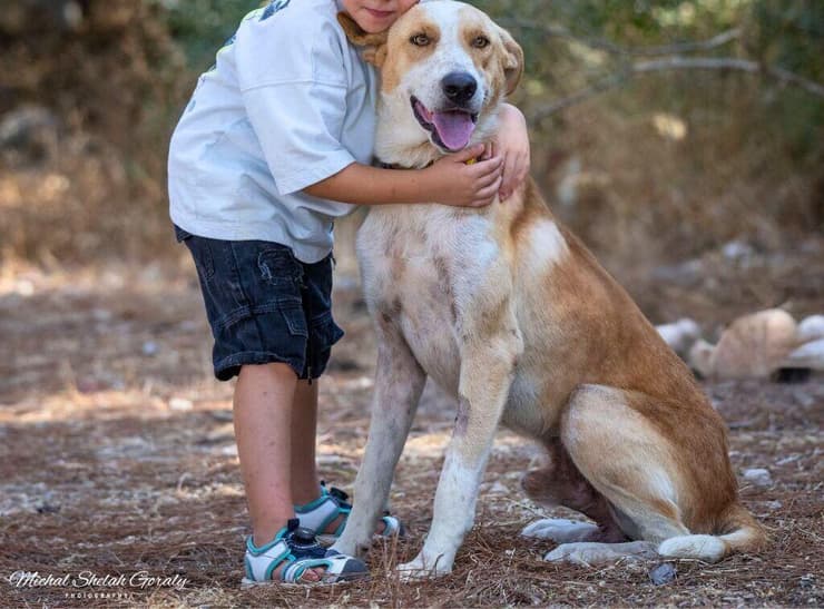 אריק (צילום: מיכל שלח גורלי) אריק