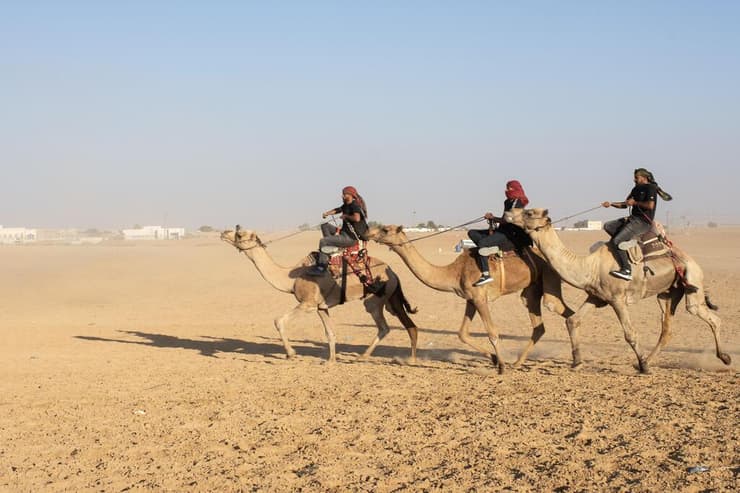 חתונה בדואית