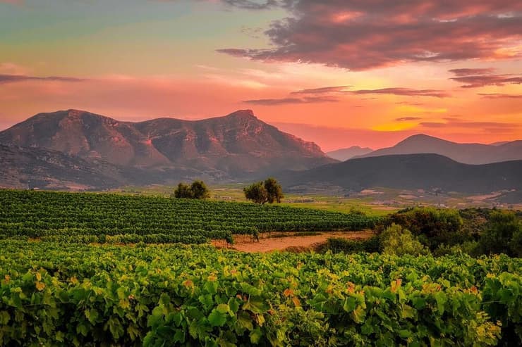 נמאה "טוסקנה היוונית" (צילום: kpiperisz / shutterstock) נמאה "טוסקנה היוונית"