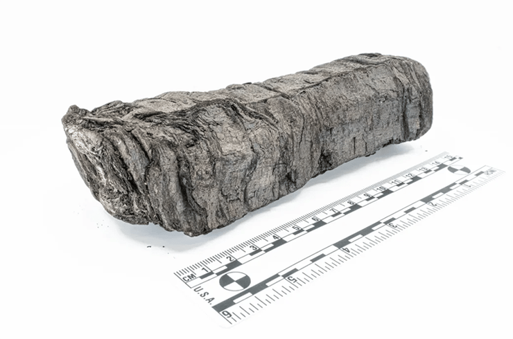 בחפירות ארכיאולוגיות התגלה אוסף של כ-800 מגילות פפירוס מגולגלות, שאחרי ההתפרצות הפכו לגושי פחמן. אחת מהמגילות השרופות 