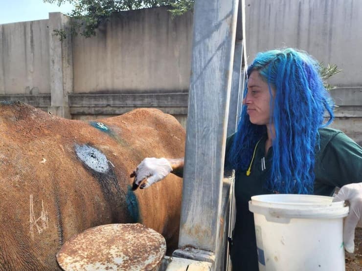 הקרנף עטרי ז"ל