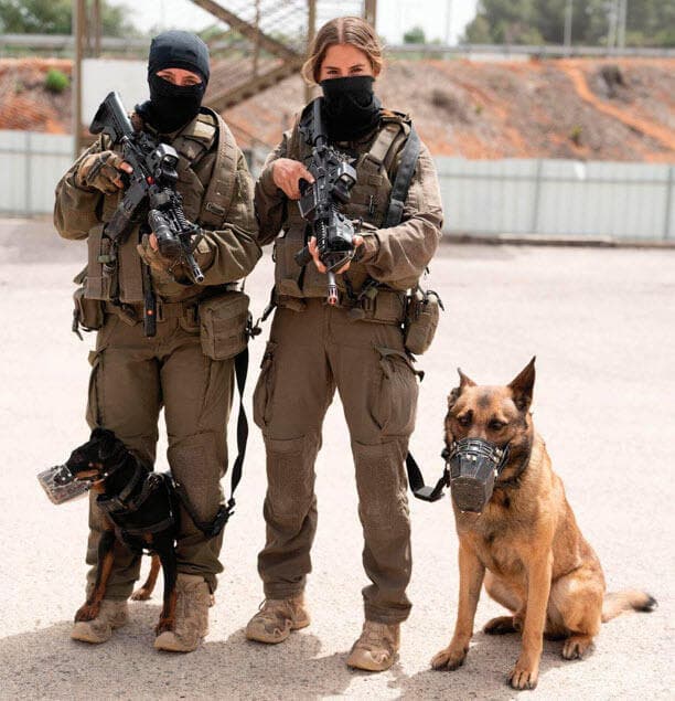 לוחמות פורום דבורה