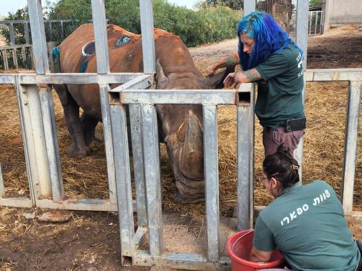 הקרנף עטרי ז"ל