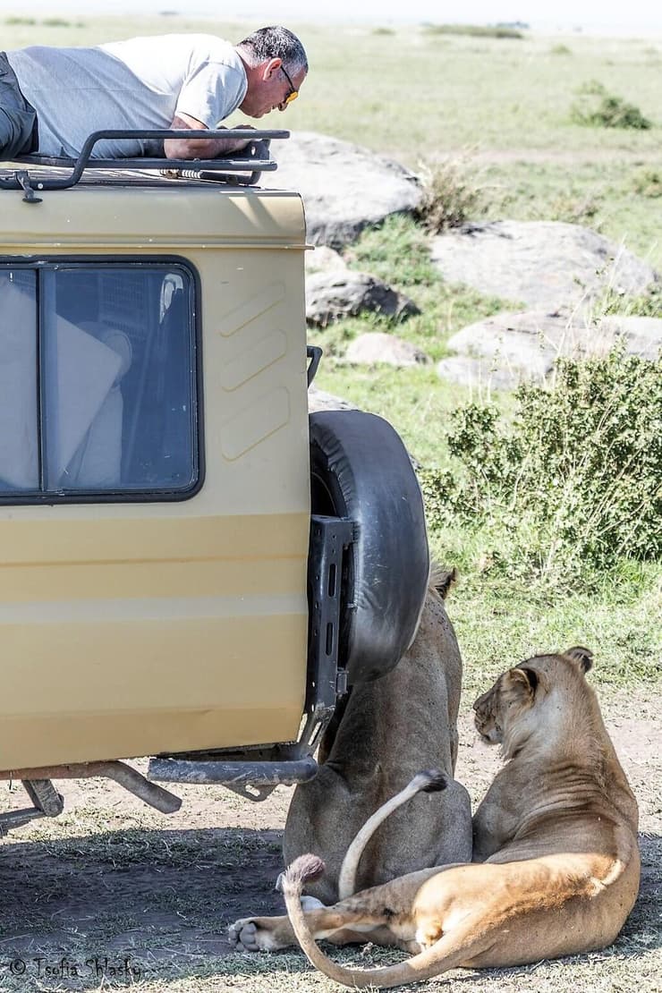 הכי קרוב שאפשר לבעלי החיים