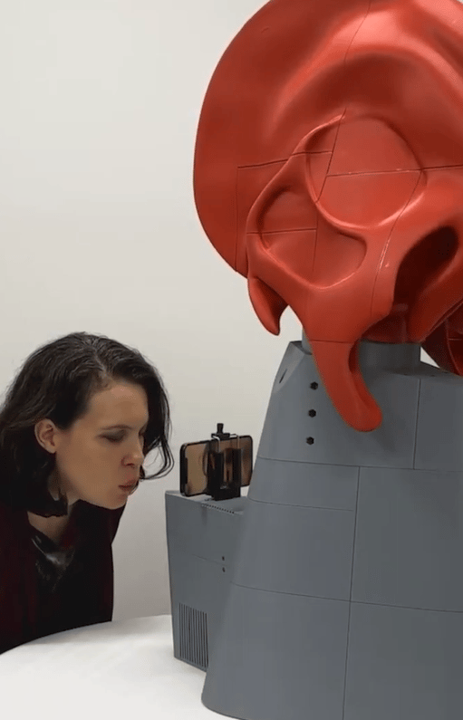 איך עושה דינוזאוור?