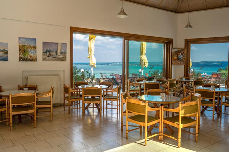 קפה Rege (צילום: berni0004 / shutterstock) קפה Rege