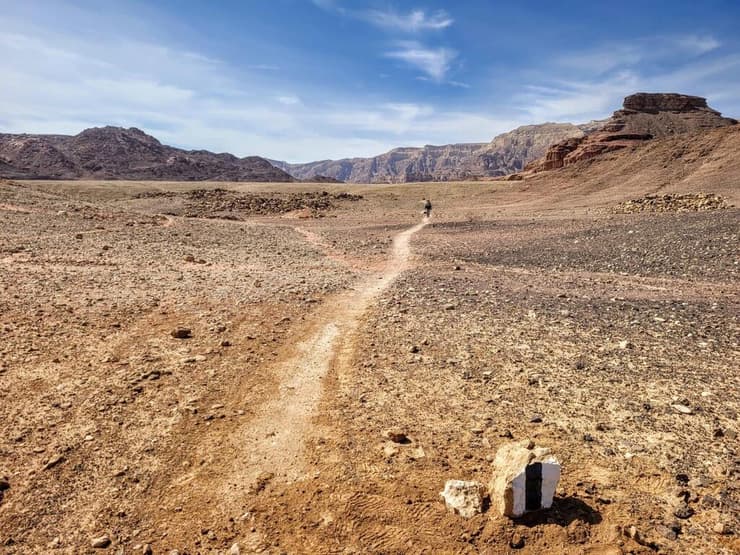 שביל מסומן חדש בפארק