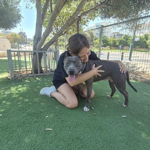 מנדי (צילום: בשביל בעלי החיים) מנדי