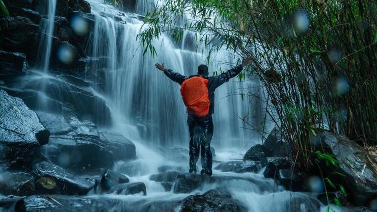 מדינת קרלה בהודו מציעה טבע ירוק ונופים מדהימים. היא מושכת מיליוני תיירים מדי שנה (צילום: shutterstock) מחוז קרלה בהודו