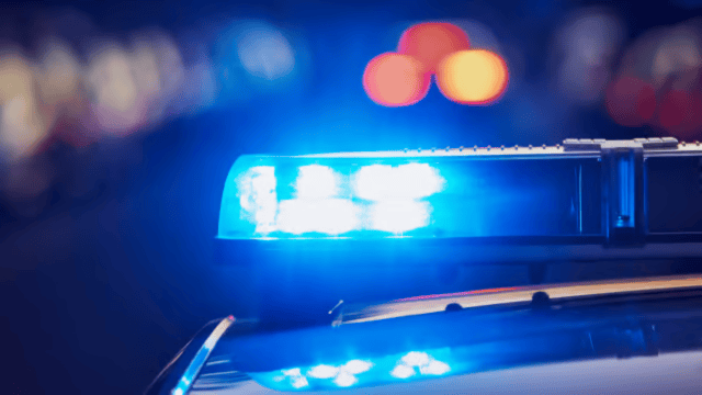 ניידת משטרה