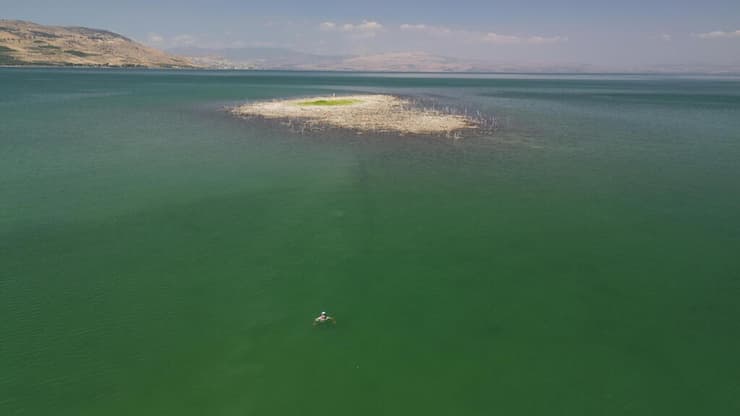 המסע אל האי בכינרת