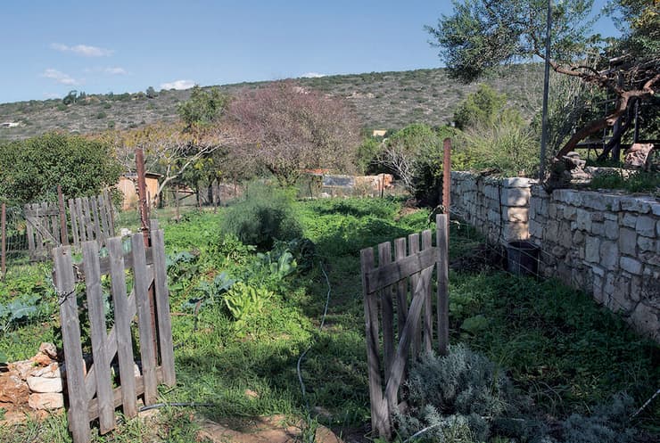 הישוב כליל (צילום: גיל נחושתן) הישוב כליל