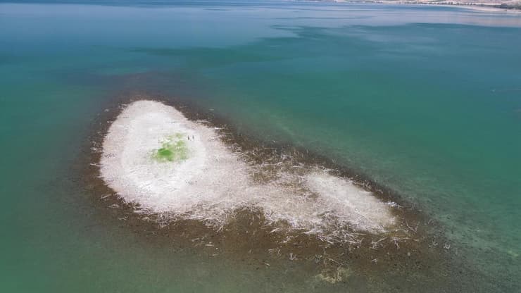 המסע אל האי בכינרת