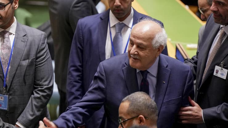 ריאד מנסור במועצת האו"ם