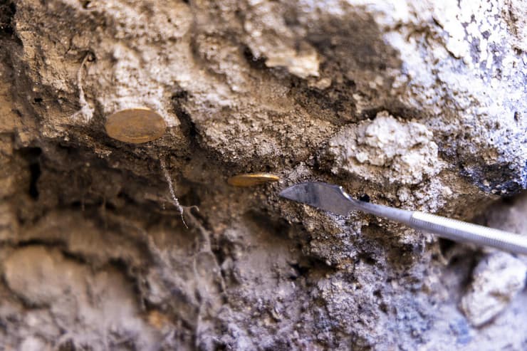 מטבעות זהב בעפר