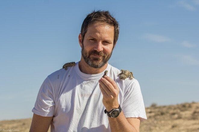 פרופ' שי מאירי