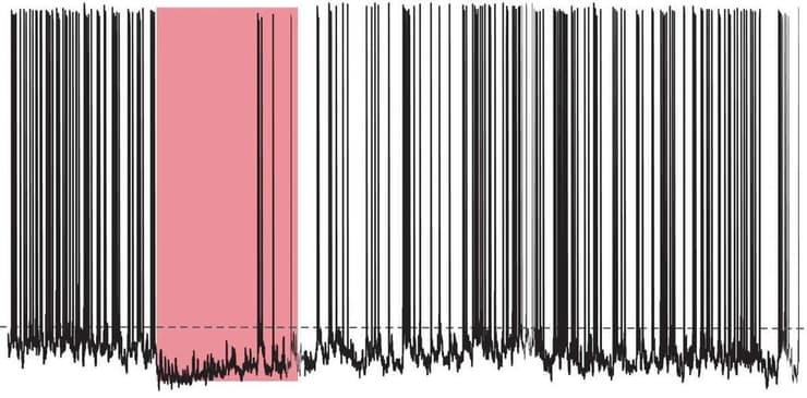 רישום הפעילות החשמלית של תאי אוקסיטוצין שאליהם הוחדר גן שמקודד לחלבון רגיש לאור. כאשר הוקרן עליהם אור אדום חלש פעילותם נפסקה. לאחר כיבוי האור, הפעילות התחדשה בהדרגה