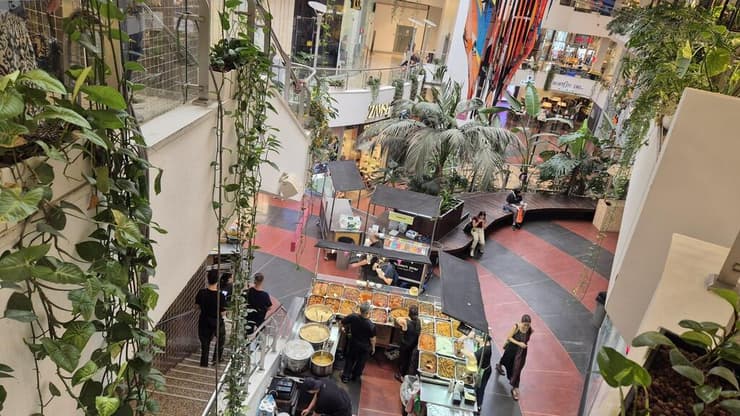 הצמחייה בסנטר (צילום: מירב קריסטל) הצמחייה בסנטר