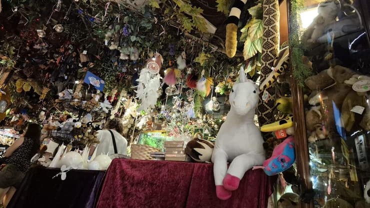 חנות יער הפיות (צילום: מירב קריסטל) חנות יער פיות