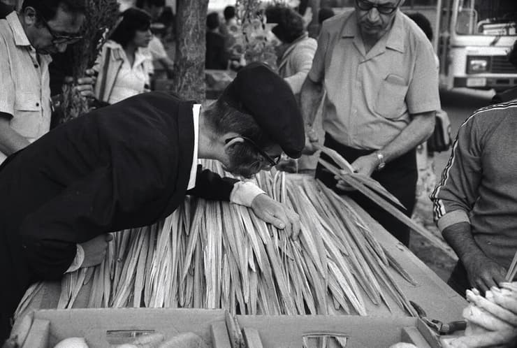 בחירת לולב בירושלים, 1979