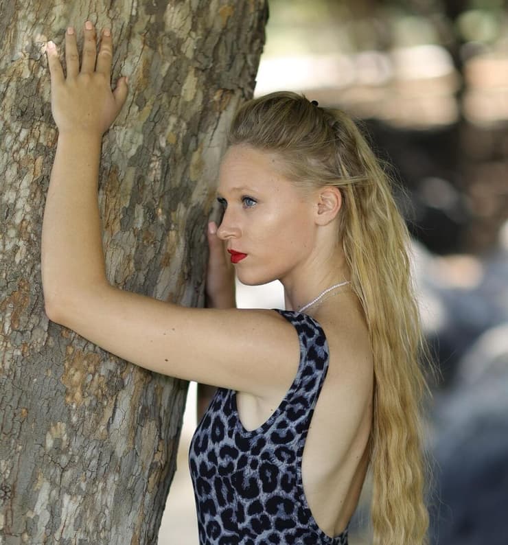 דניאל הרצוג