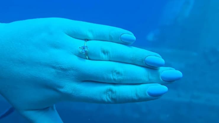 גל ניר ועומרי בר יוסף