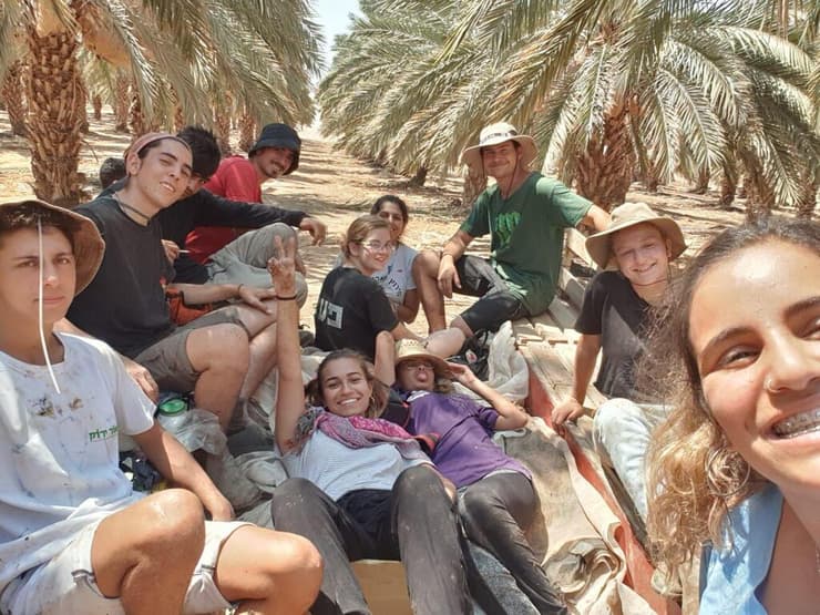 צעירי שנת שירות של קדמה במטעי התמרים