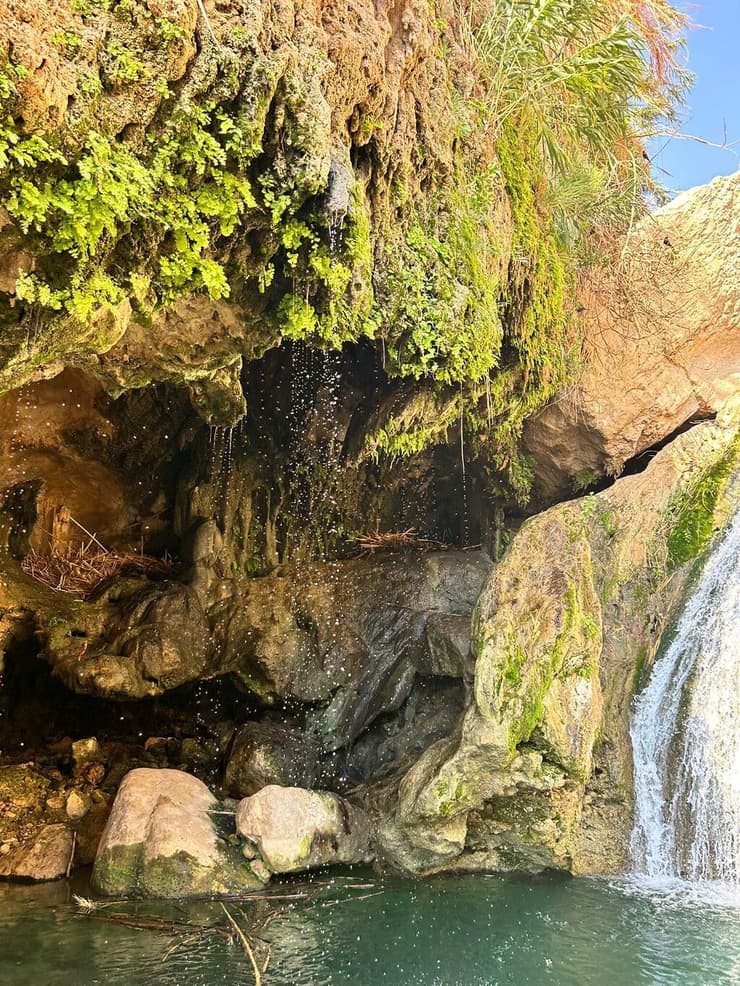 מסלול הטיול בנחל דוד