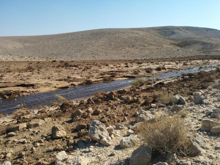 זיהום נחל אשלים ביוני 2017 (צילום: בעז שיזף, רשות הטבע והגנים) זיהום נחל אשלים ביוני 2017