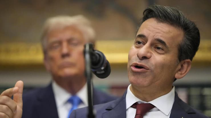 פרופ' מרטי מקארי