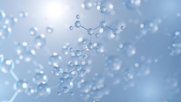 L-Lysine, חומצת אמינו מסוג אלפא