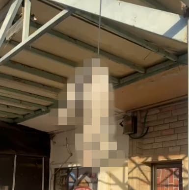 גור החתולים שנמצא ללא רוח חיים