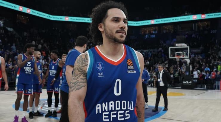 שיין לארקין