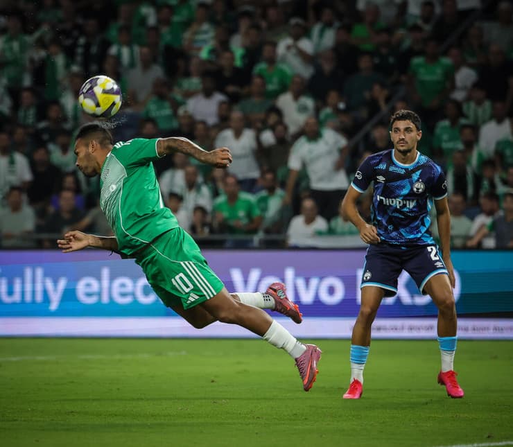 רכש יקר, ציפיות עצומות ותמורה מינימלית. נהואל (צילום: עוז מועלם) נהואל