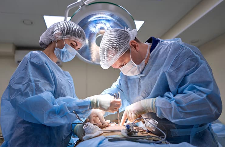 השתלת איברים