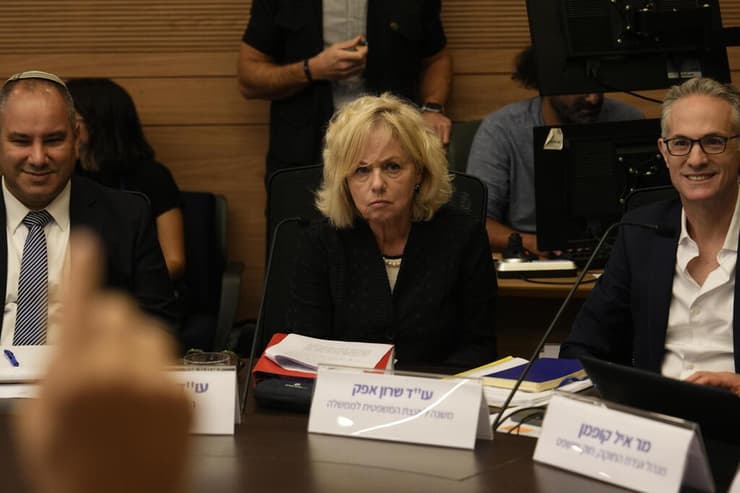 ארכיון. היועמ"שית בהרב-מיארה בדיון בוועדת החוקה (צילום: אלכס גמבורג) דיון ועדת החוקה