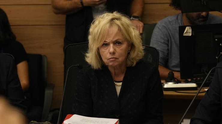 דיון ועדת החוקה