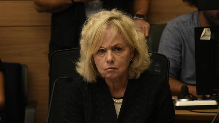 "הגדילה ראש לפתוח בחקירה פלילית נגד מי שכפופה לה מקצועית". היועמ"שית בהרב-מיארה (צילום: אלכס גמבורג) דיון ועדת החוקה