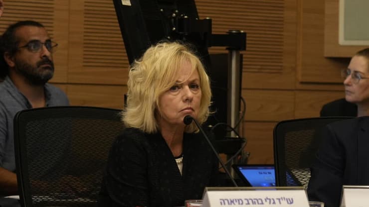 גלי בהרב-מיארה. רוטמן סבור: יש ניגודי עניינים (צילום: אלכס גמבורג) דיון ועדת החוקה