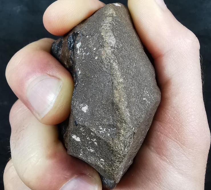 כלי מאבן ששימש ליצירת תחריטי חיות הבר