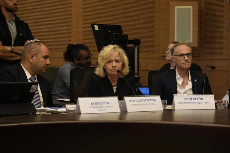 דיון ועדת החוקה