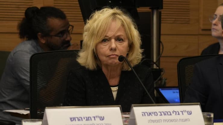 דיון ועדת החוקה