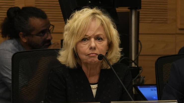 דיון ועדת החוקה