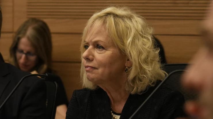 דיון ועדת החוקה