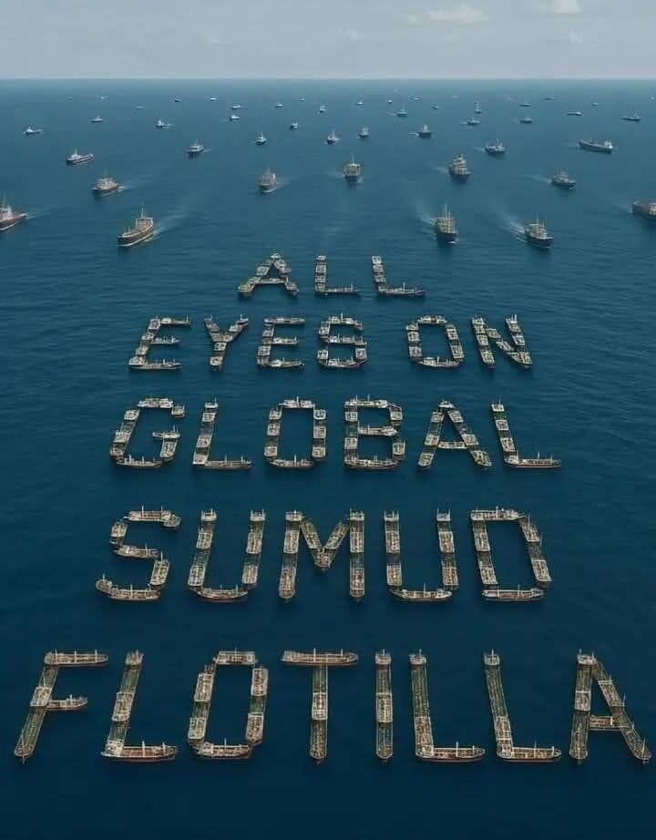 פוסטים ברשתות בעניין המשט לעזה