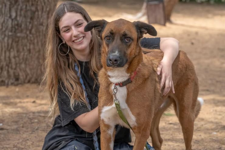 ג'ק (צילום: רבקה מזרחי) ג'ק