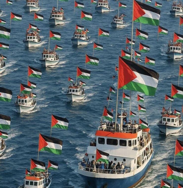 פוסטים ברשתות בעניין המשט לעזה