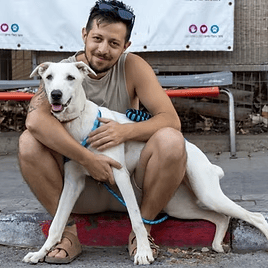 ניר (צילום: צער בעלי חיים רמת גן והסביבה) ניר