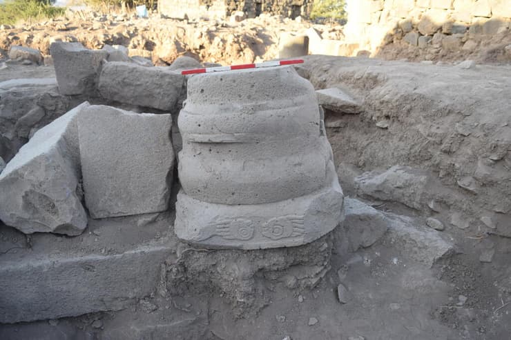 כותרות עם דגם בעלי חיים (צילום: ד"ר מיכאל אזבנד) כותרות עם דגם בעלי חיים